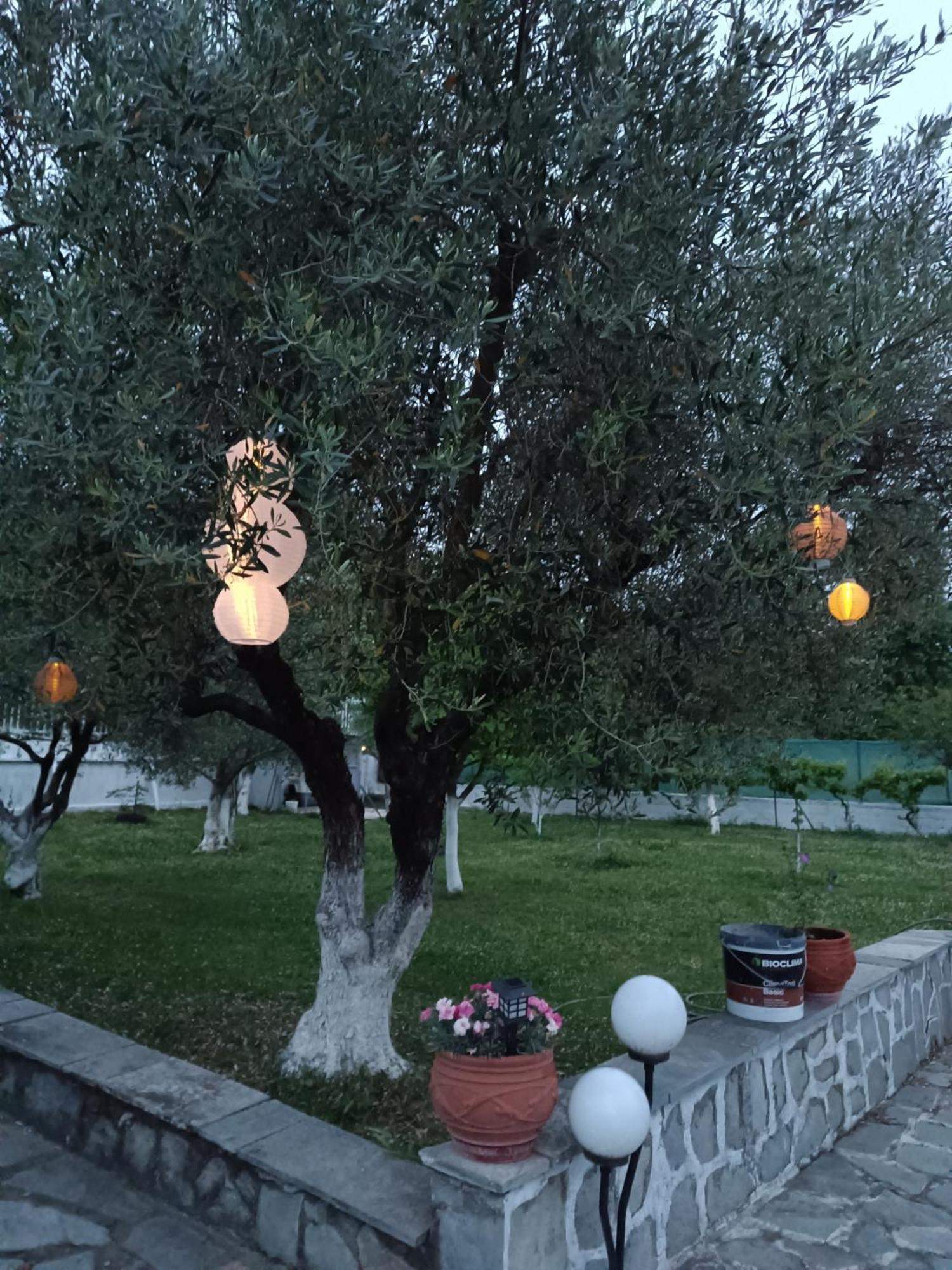 Pensjonat Pomegranate Tree House - Meteora Kalambaka Zewnętrze zdjęcie