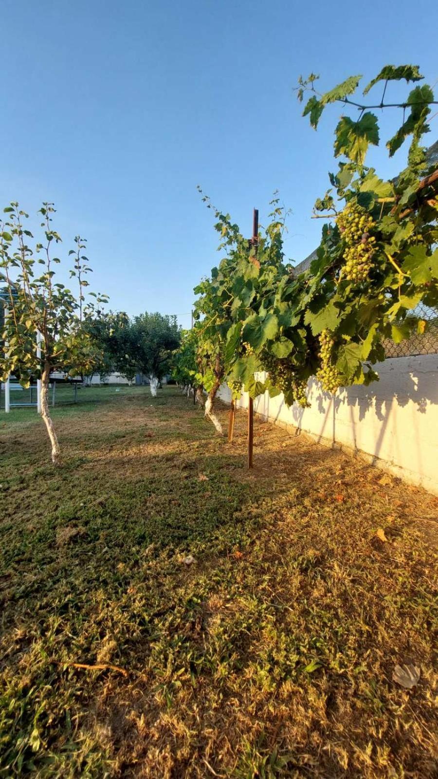 Pensjonat Pomegranate Tree House - Meteora Kalambaka Zewnętrze zdjęcie
