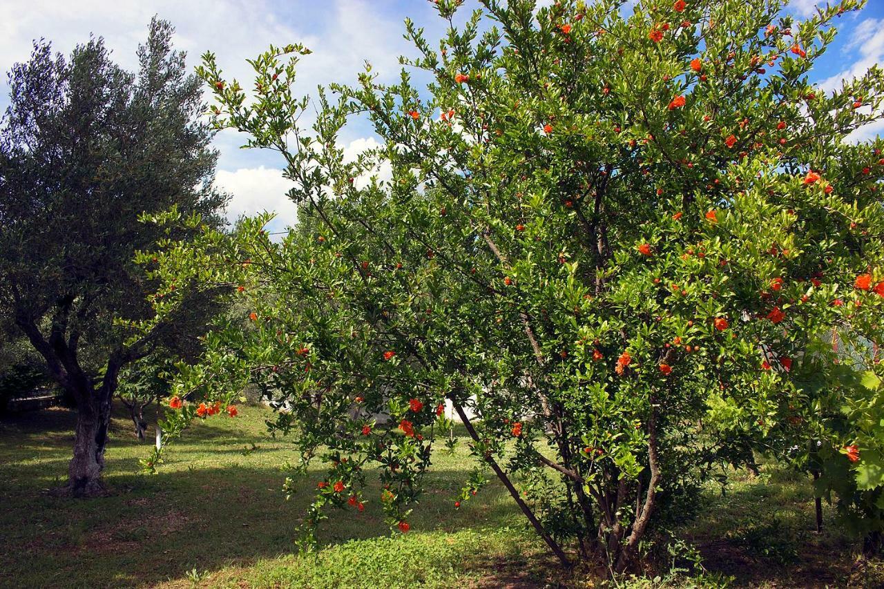 Pensjonat Pomegranate Tree House - Meteora Kalambaka Zewnętrze zdjęcie